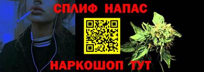гашик Нальчик
