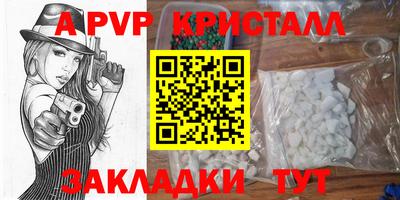 гашик Нальчик