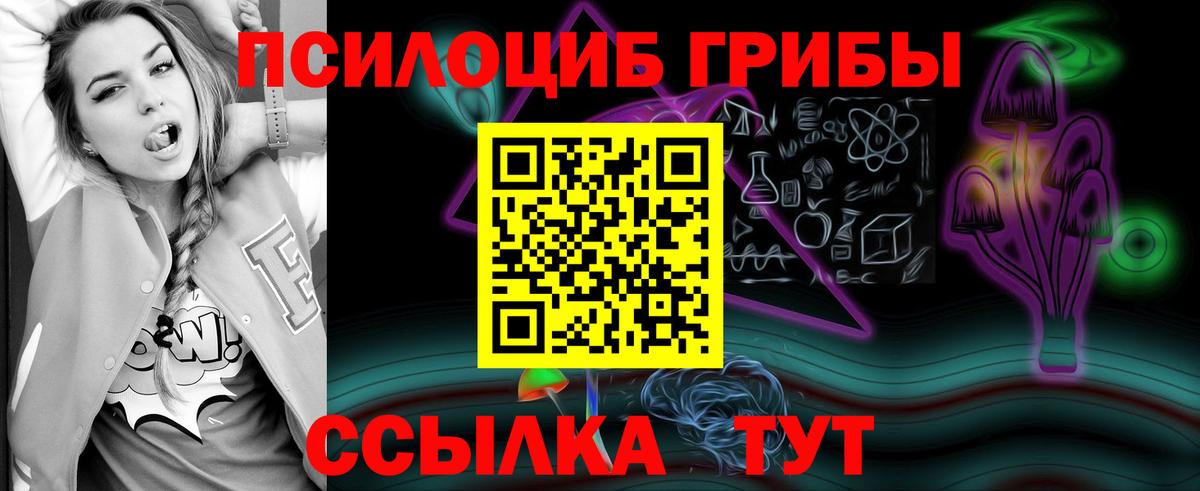 Псилоцибиновые грибы Cubensis Советский